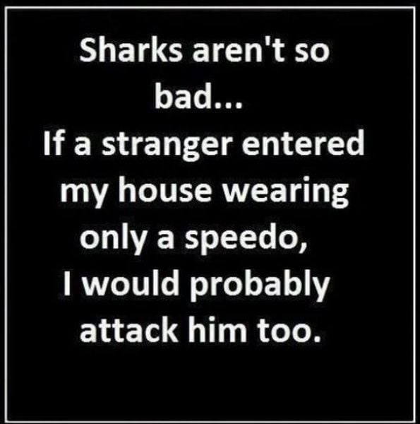 morning picdump 50 pics 14.html - 50 HD Photos | Premium Gallery 2012