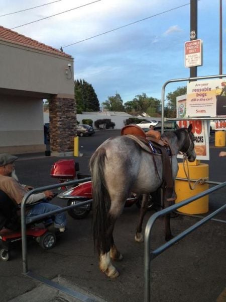 morning picdump 50 pics 14.html - 50 HD Photos | Premium Gallery 2012