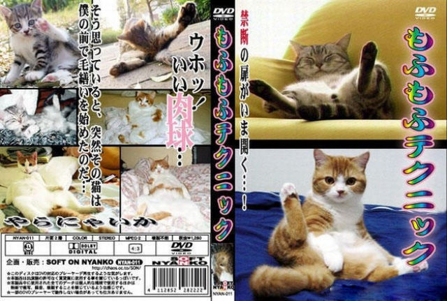 Asians Know How to Live