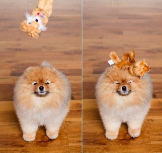 Asians Know How to Live