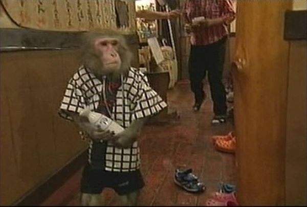 Asians Know How to Live