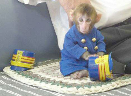 Asians Know How to Live