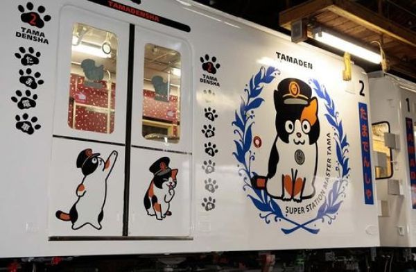 Asians Know How to Live