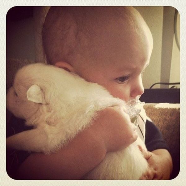 morning picdump 54 pics 18.html - 54 HD Photos | Premium Gallery 2012