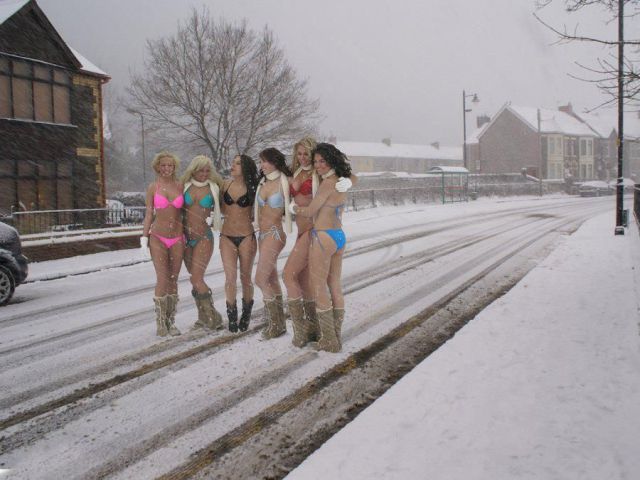 daily picdump 9 pics 39.html - 9 HD Photos | Premium Gallery 2012