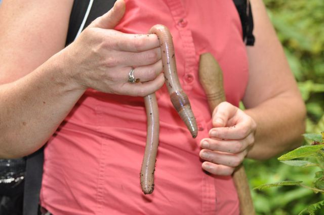 daily picdump 9 pics 39.html - 9 HD Photos | Premium Gallery 2012