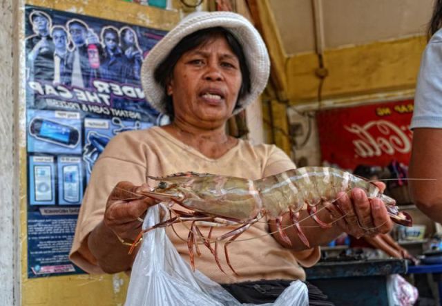 daily picdump 9 pics 39.html - 9 HD Photos | Premium Gallery 2012