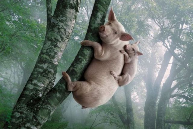 morning picdump 50 pics 24.html - 50 HD Photos | Premium Gallery 2012