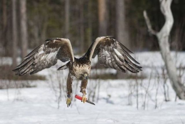 morning picdump 50 pics 24.html - 50 HD Photos | Premium Gallery 2012