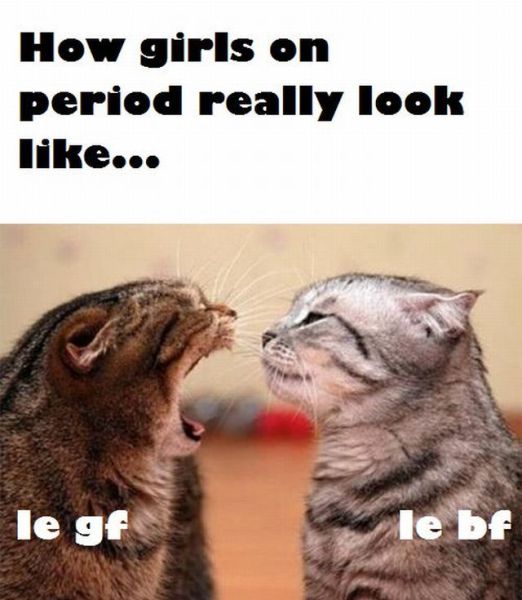 morning picdump 50 pics 24.html - 50 HD Photos | Premium Gallery 2012