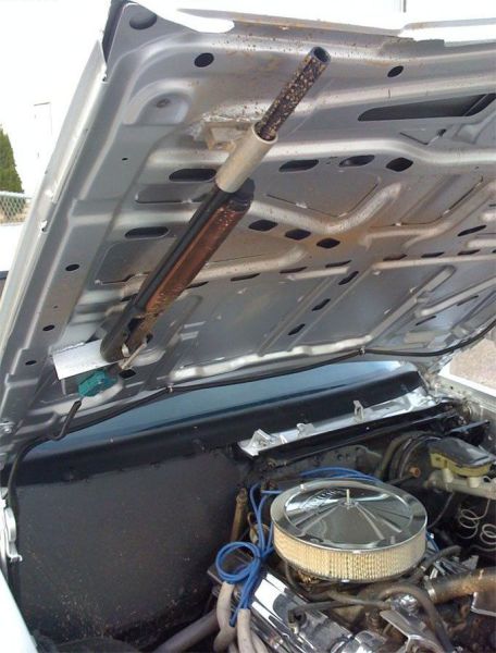 morning picdump 50 pics 10.html - 50 HD Photos | Premium Gallery 2012