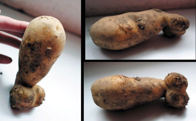 morning picdump 50 pics 10.html - 50 HD Photos | Premium Gallery 2012