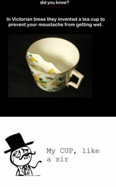 morning picdump 60 pics 14.html - 60 HD Photos | Premium Gallery 2012