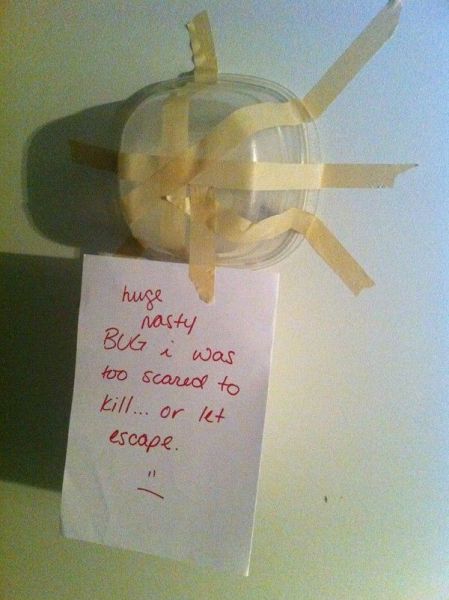 morning picdump 56 pics 4.html - 56 HD Photos | Premium Gallery 2012