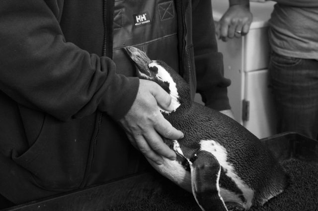 morning picdump 50 pics 18.html - 50 HD Photos | Premium Gallery 2012