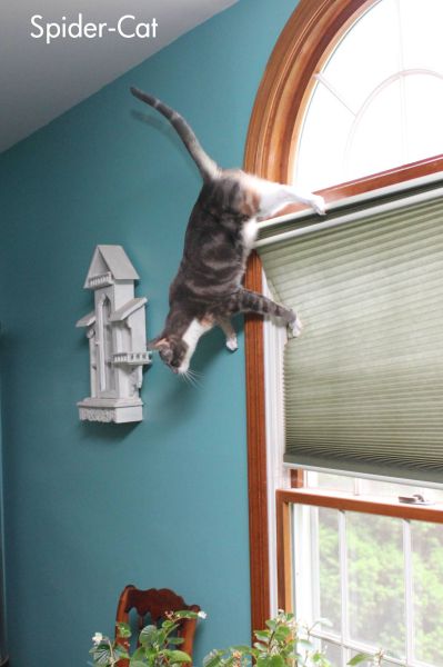 morning picdump 50 pics 18.html - 50 HD Photos | Premium Gallery 2012