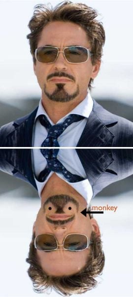 morning picdump 50 pics 18.html - 50 HD Photos | Premium Gallery 2012