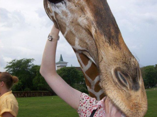 morning picdump 56 pics 18.html - 56 HD Photos | Premium Gallery 2012