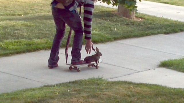 daily picdump 86 pics 15.html - 86 HD Photos | Premium Gallery 2012