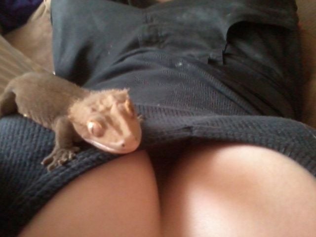 daily picdump 86 pics 15.html - 86 HD Photos | Premium Gallery 2012