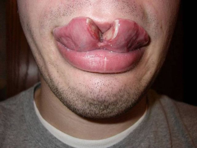 morning picdump 51 pics 13.html - 51 HD Photos | Premium Gallery 2012