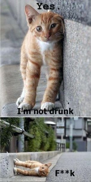 morning picdump 51 pics 13.html - 51 HD Photos | Premium Gallery 2012