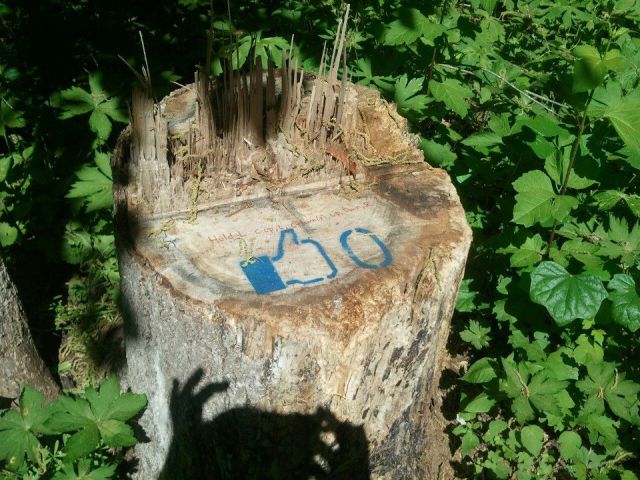 morning picdump 52 pics 12.html - 52 HD Photos | Premium Gallery 2012