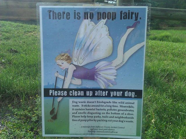 morning picdump 52 pics 18.html - 52 HD Photos | Premium Gallery 2012