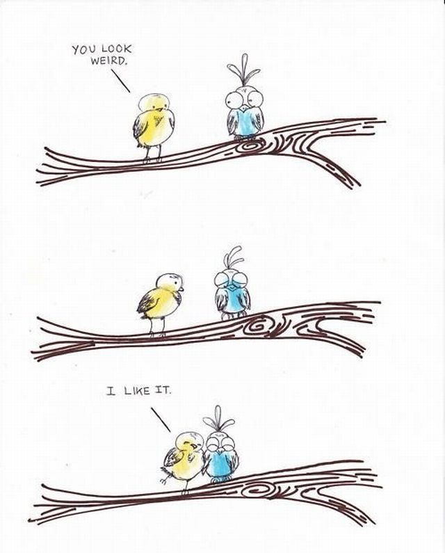 morning picdump 52 pics 18.html - 52 HD Photos | Premium Gallery 2012