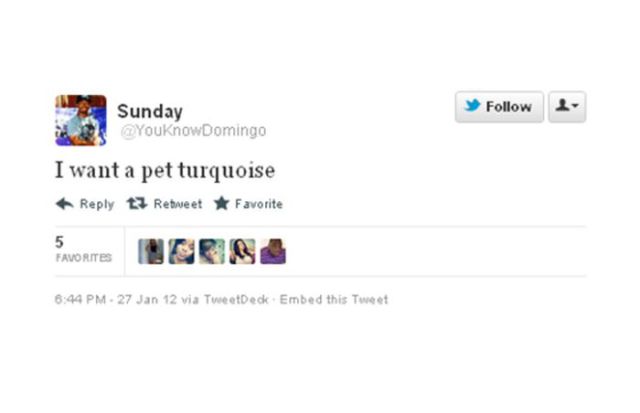 Twitter Hilarious Misspellings