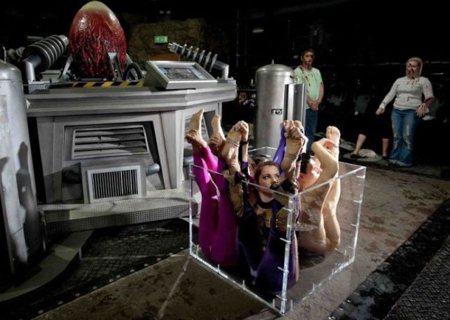 morning picdump 57 pics 18.html - 57 HD Photos | Premium Gallery 2012