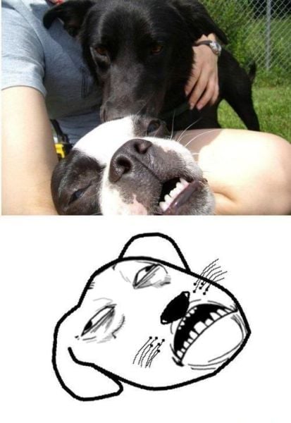 morning picdump 57 pics 18.html - 57 HD Photos | Premium Gallery 2012