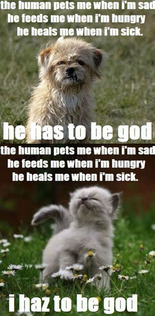 morning picdump 53 pics 9.html - 53 HD Photos | Premium Gallery 2012