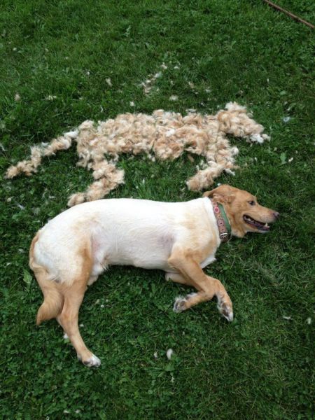 Morning Picdump