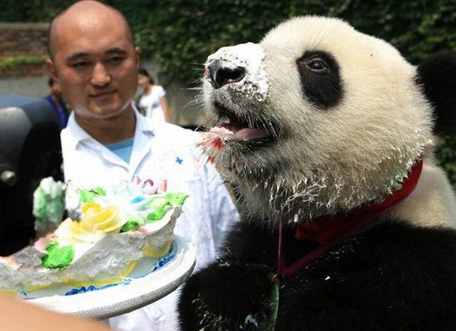 Morning Picdump