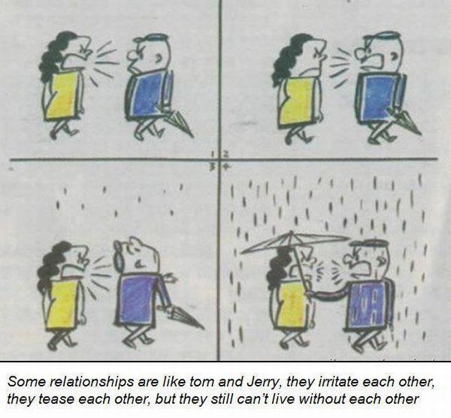 Morning Picdump