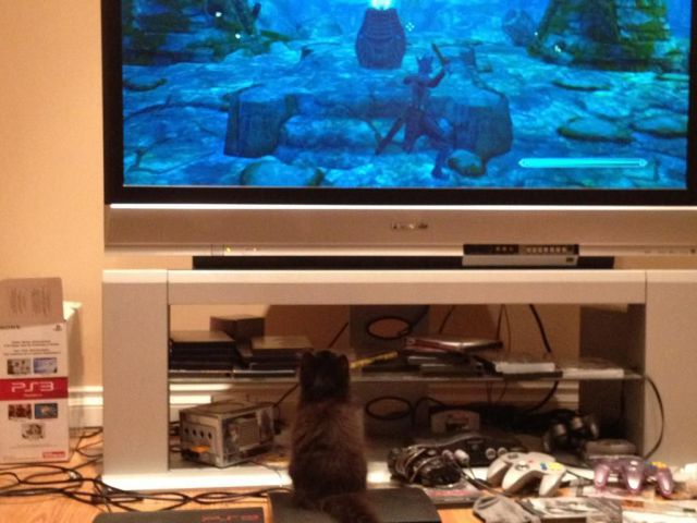 Morning Picdump