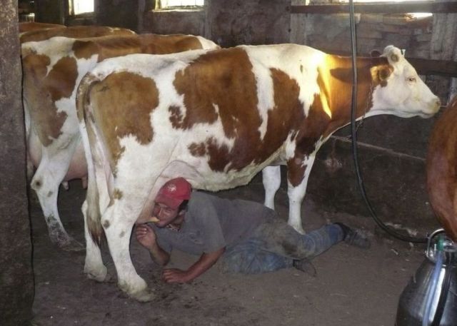 morning picdump 57 pics 30.html - 57 HD Photos | Premium Gallery 2012