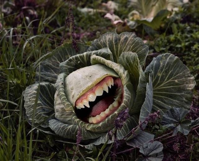 morning picdump 57 pics 30.html - 57 HD Photos | Premium Gallery 2012