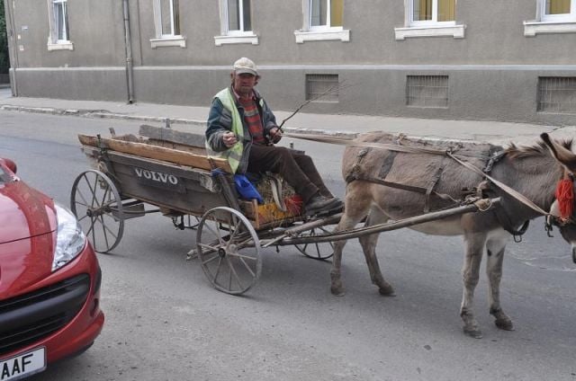 morning picdump 57 pics 30.html - 57 HD Photos | Premium Gallery 2012