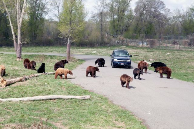 daily picdump 93 pics 39.html - 93 HD Photos | Premium Gallery 2012