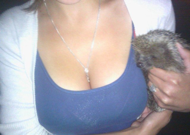 daily picdump 92 pics 39.html - 92 HD Photos | Premium Gallery 2012