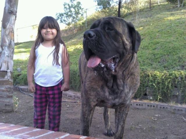 daily picdump 92 pics 39.html - 92 HD Photos | Premium Gallery 2012