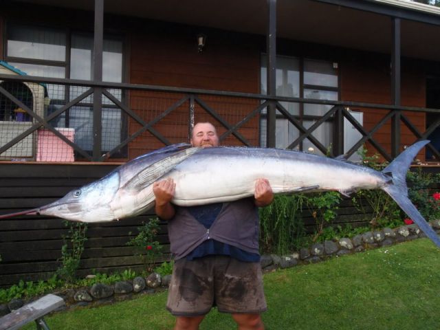 daily picdump 92 pics 39.html - 92 HD Photos | Premium Gallery 2012