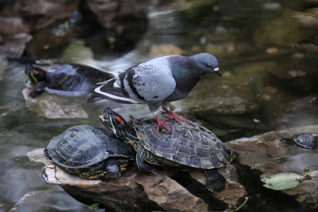 morning picdump 57 pics 29.html - 57 HD Photos | Premium Gallery 2012