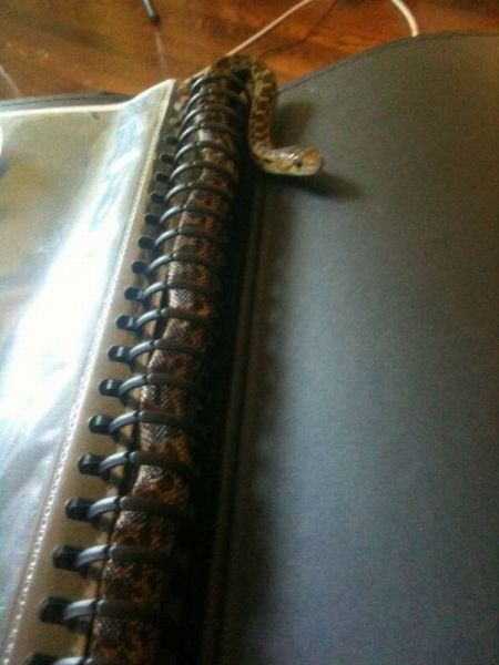 morning picdump 57 pics 29.html - 57 HD Photos | Premium Gallery 2012