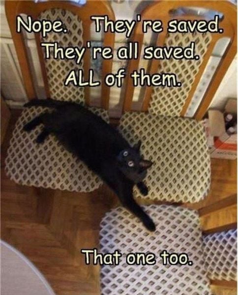 morning picdump 57 pics 29.html - 57 HD Photos | Premium Gallery 2012