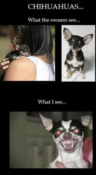 morning picdump 57 pics 29.html - 57 HD Photos | Premium Gallery 2012