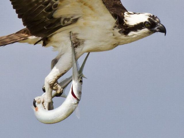 morning picdump 59 pics 12.html - 59 HD Photos | Premium Gallery 2012