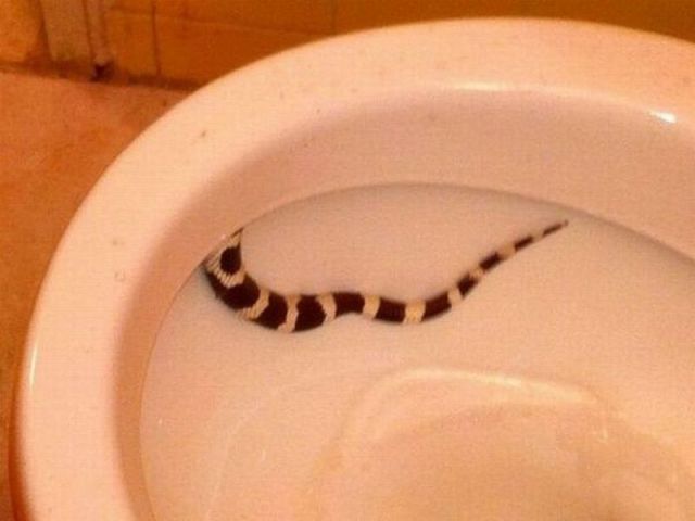 morning picdump 59 pics 12.html - 59 HD Photos | Premium Gallery 2012